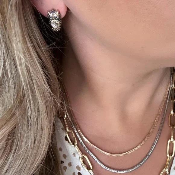 Park Lane Hootie Earrings BNIB! - Picture 3 of 6